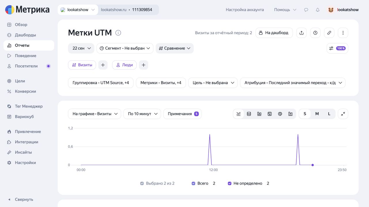 Общий итог Метрики: два визита и два визита без определённых UTM