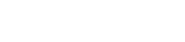 Русская Школа Управления